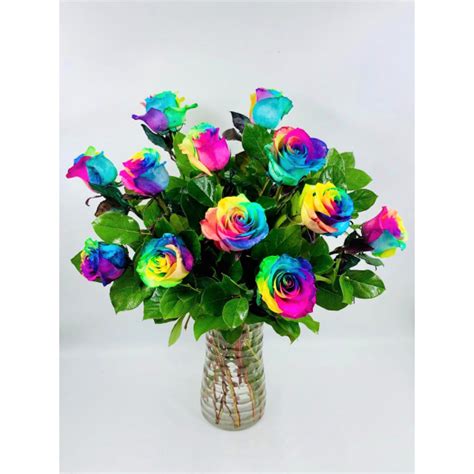One Dozen Long Stem Rainbow Roses Laguna Flowers