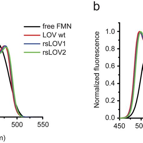 Absorption And Fluorescence Emission Spectra Of FMN LOV Wt RsLOV1