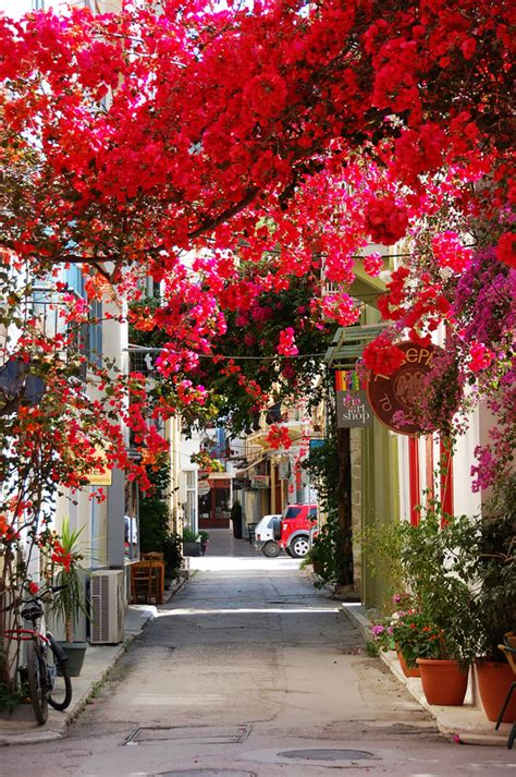 15 Of The Worlds Most Magical Streets Shaded By Flowers And Trees