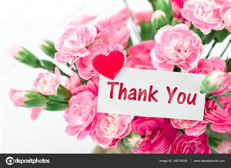 Thank You Card And Beautiful Blooming Of The Pink Carnation Flow