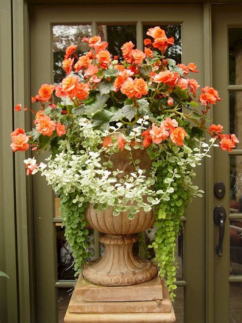 45 Beautiful Container Gardening Ideas Page 14 Of 36
