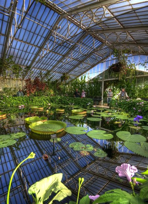 5 caribbean plants bringing the tropics to the uk. Waterlily House HDR Kew Gardens | Kew gardens, Kew gardens ...