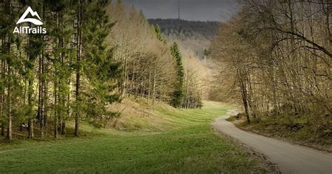 Best Hikes And Trails In Novo Mesto Alltrails
