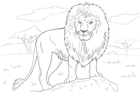 Check spelling or type a new query. Free Printable Lion Coloring Pages For Kids