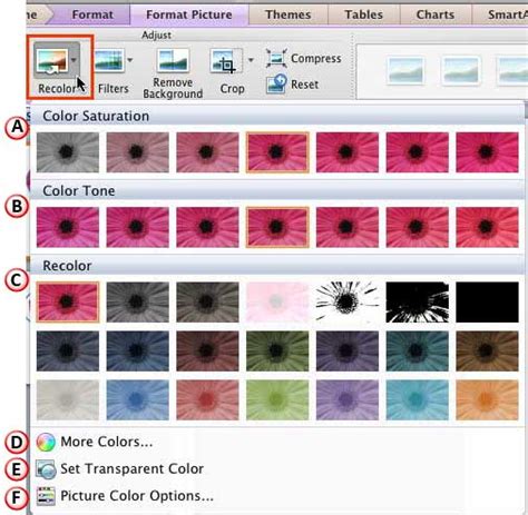 Recolor Picture in PowerPoint 2011 for Mac