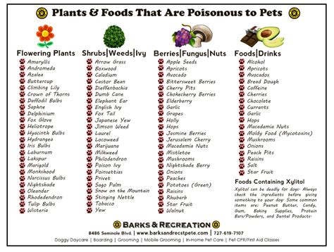Some are mildly poisonous and some are fatal. List Of Poisonous Plants For Dogs