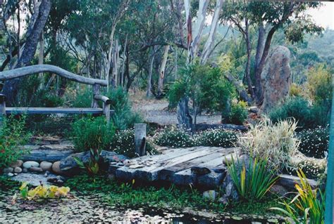 Build A Healing Garden With Australian Native Plants
