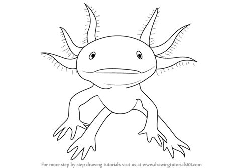 How to draw an axolotl for kids. Step by Step How to Draw a Walking Fish ...