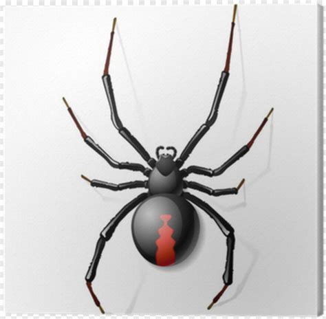 Spider Man Homecoming Black Widow Spider Black Widow Spider Spider