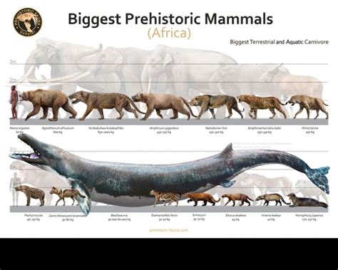 Biggest Prehistoric Mammals Of Arica Carnivore Poster