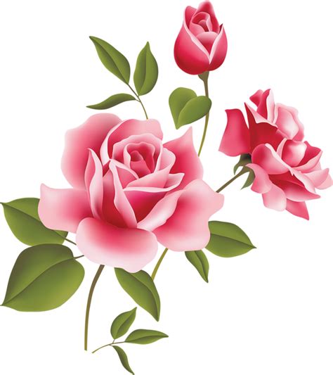 Pink Rose Art Picture Clipart Clipart Best Clipart Best