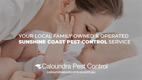 We explain everything involved with hiring a pest materials for pest control may include fumigation, traps, poisons and tools. Contract Caloundra Pest Control, Sunshine Coast Qld | 07 ...