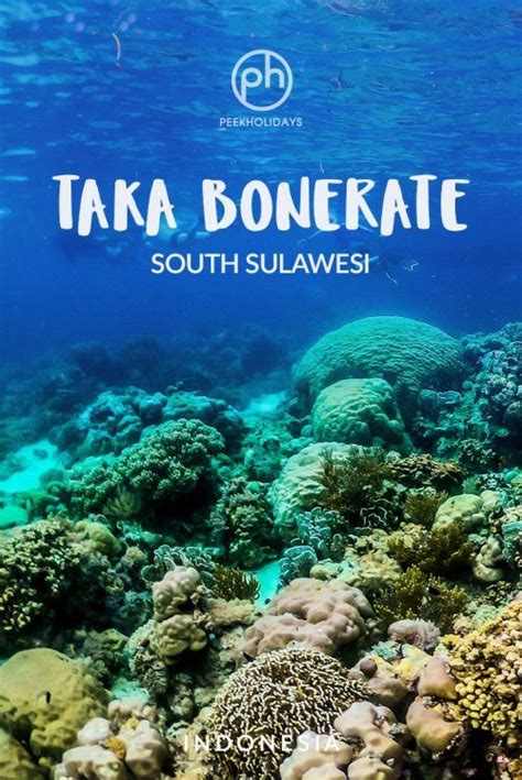 Taka Bonerate The Real Hidden Gem Of South Sulawesi Peek Holidays