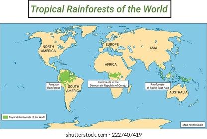 Rainforests Map