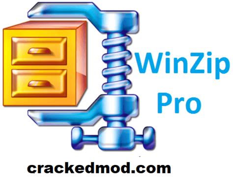 Winzip Pro 280 Crack Plus Activation Key Free Download Latest