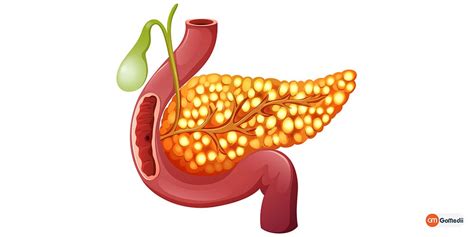 Causes Of Pancreatic Cancer In Hindi Archives Best Hindi Health Tips