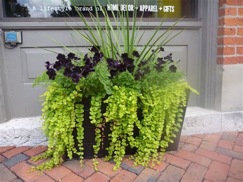 Decorative iron window box for potted plants. Blog Archives | EQUINOX Roof | Motorized Louvered Roof ...