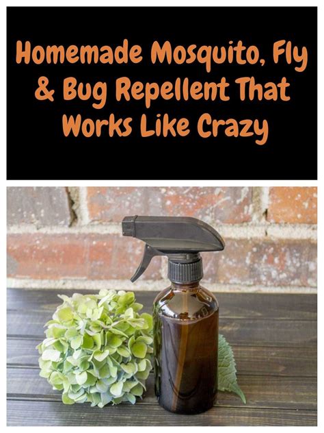 Homemade Mosquito Fly Bug Repellent That Works Like Crazy Mosquito Repellent Homemade