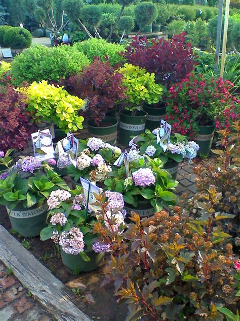 It's home improvement time, and the home depot has everything you need for spring. Perennials - Clarke's Garden Center & Stone Depot™