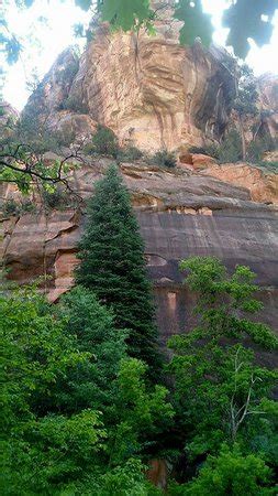 Dogs are also able to use this trail but must be kept on leash. Call Of The Canyon Picnic Site (Sedona) - 2020 All You ...
