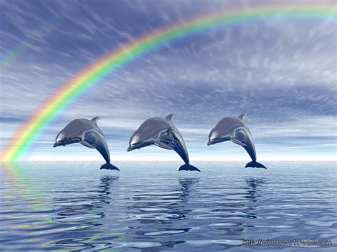 Animated Jumping0 Dolphin Over Sea Hd Wallpaper Windows 10 Wallpapers