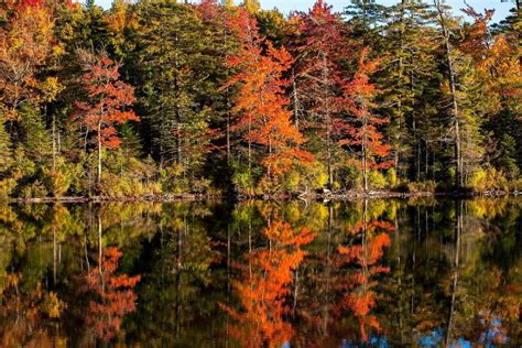 Ohio Fall Foliage 2018 Leaves Are At Peak Color