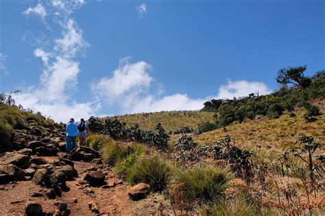 Hiking Worlds End Sri Lankas Overlooked Scenic Gem Exploring Kiwis