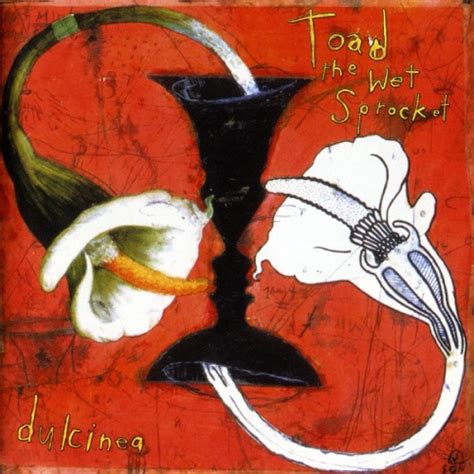 Dulcinea Toad The Wet Sprocket Songs Reviews Credits Allmusic