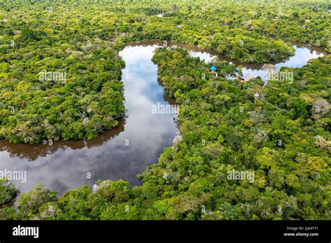 Aerial View Of Amazon Rainforest In Peru South America Green Forest