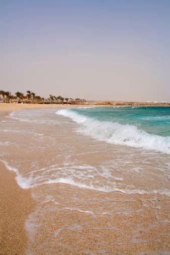 Egyptian Red Sea Beach Stock Photo Download Image Now Istock
