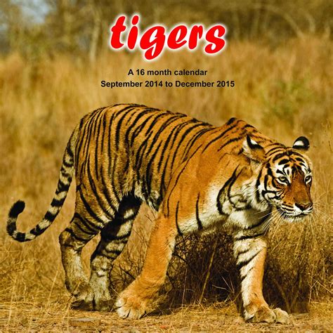 Tigers Calendar 2015 Mganm13 Wildlife Animals