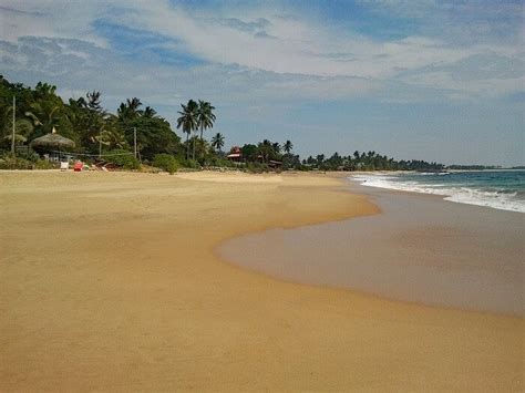 Top 12 Hikkaduwa Sri Lanka Luxury Hotels Green Vacation Deals