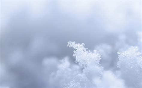 Crystals Of Snow On Gray Background Wallpapers And Images Wallpapers