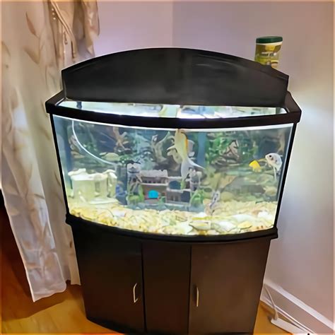 Corner Fish Tank For Sale 86 Ads For Used Corner Fish Tanks
