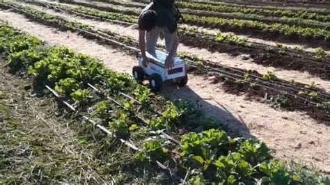 Agro Robot O Como La Tecnología Está Revolucionando La Agricultura En