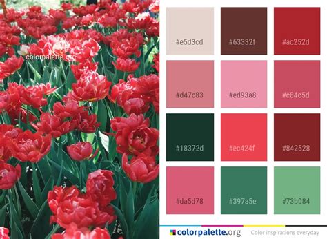 Cranberry Color Palette Ideas