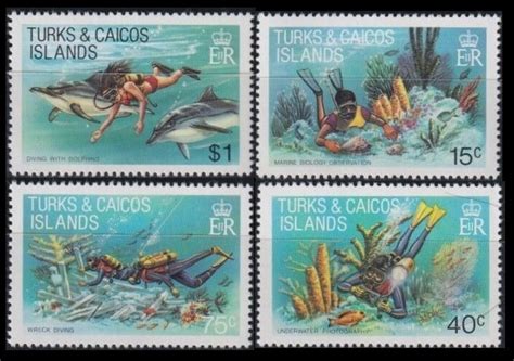 Turks And Caicos Islands Marine Fauna Caribbean