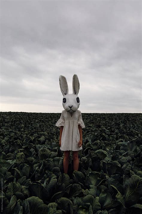 Scary Bunny On Cabbage Field Del Colaborador De Stocksy Danil Nevsky Stocksy