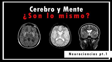 Es Lo Mismo El Cerebro Y La Mente Debate Cuerpo Mente Youtube