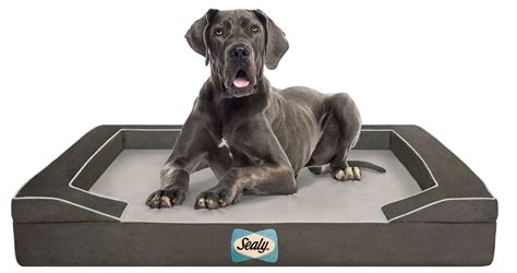 X Large Sealy Dog Beds Are In For Your Larger Than Life Canines Best