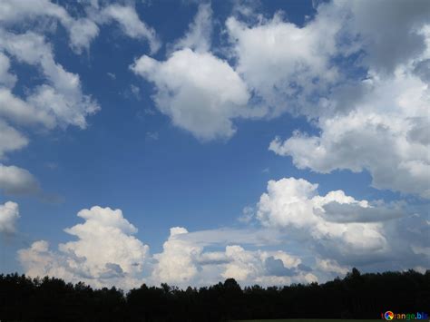 Blue Sky With Clouds Over The Forest Free Image № 27376