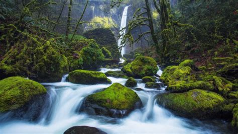 Elowah Falls In Oregon Columbia River Gorge In County Oregon United