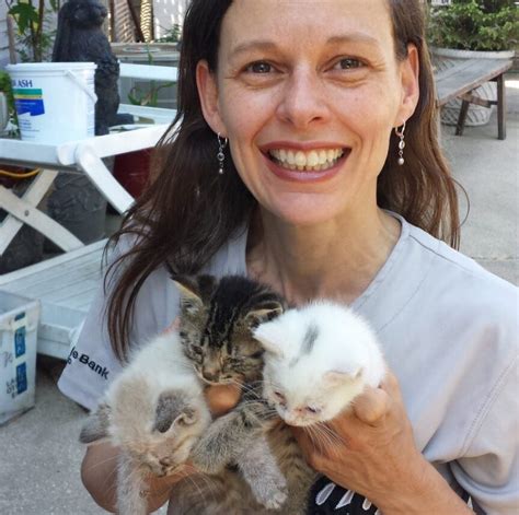 Organization Helps Feral Cat Populations Thrive