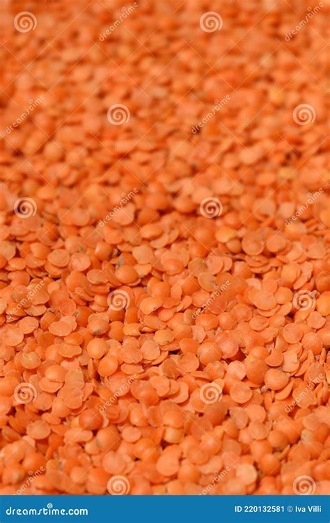 Red Lentil Stock Image Image Of Natural Pile Uncooked 220132581
