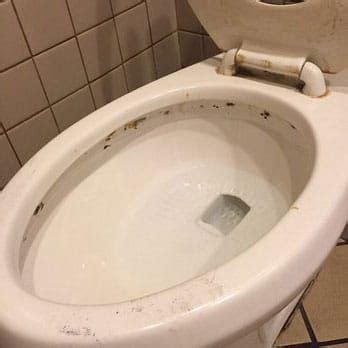 Black Mold Toilet Tank Mold In Bathroom Toilet Cleaning Remove Black Mold