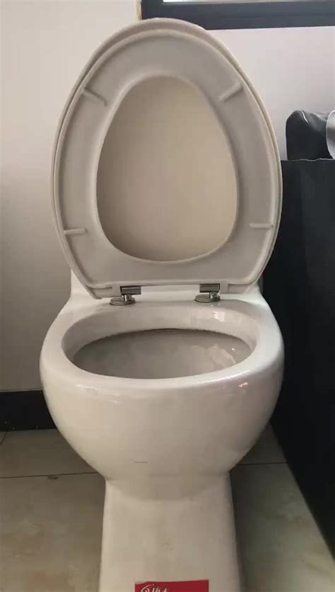 Toilet Seat Repair Kit Repair Toilet