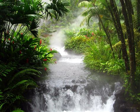 Free Download Waterfall In The Jungle Wallpaper Nature Wallpapers 16143