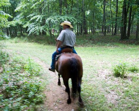 The 10 Best Virginia Horseback Riding Tours Updated 2024