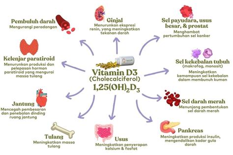 Vitamin D Hubungan Dengan Kadar Amh Anti Mullerian Hormone
