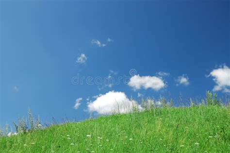 Green Grass The Blue Sky And White Clouds Stock Image Image Of